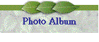Photo Album
