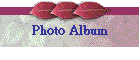 Photo Album